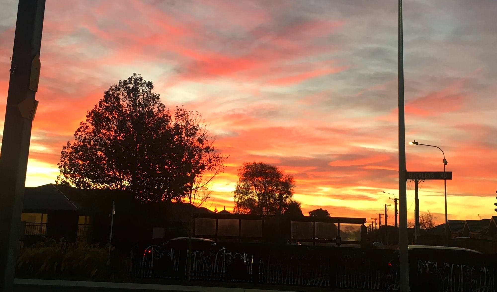 Photo of a spectacular sunset, with pink, purple and orange clouds and the silhouettes of trees and lamposts.