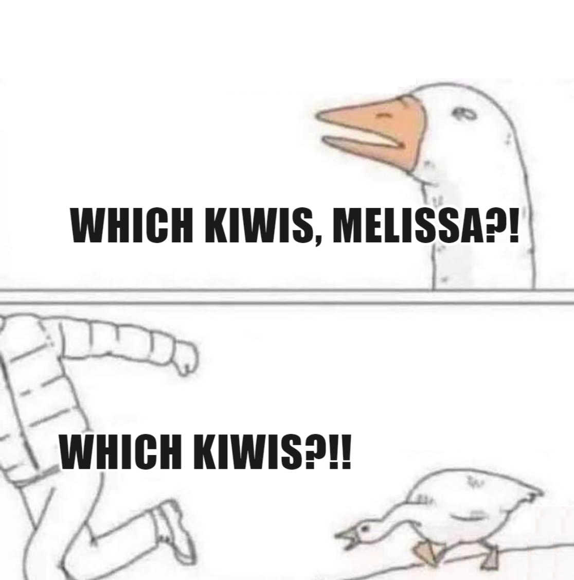 Angry chasing goose meme, in which the top panel says "Which kiwis, Melissa?!" and the bottom panel says "Which kiwis?!!"