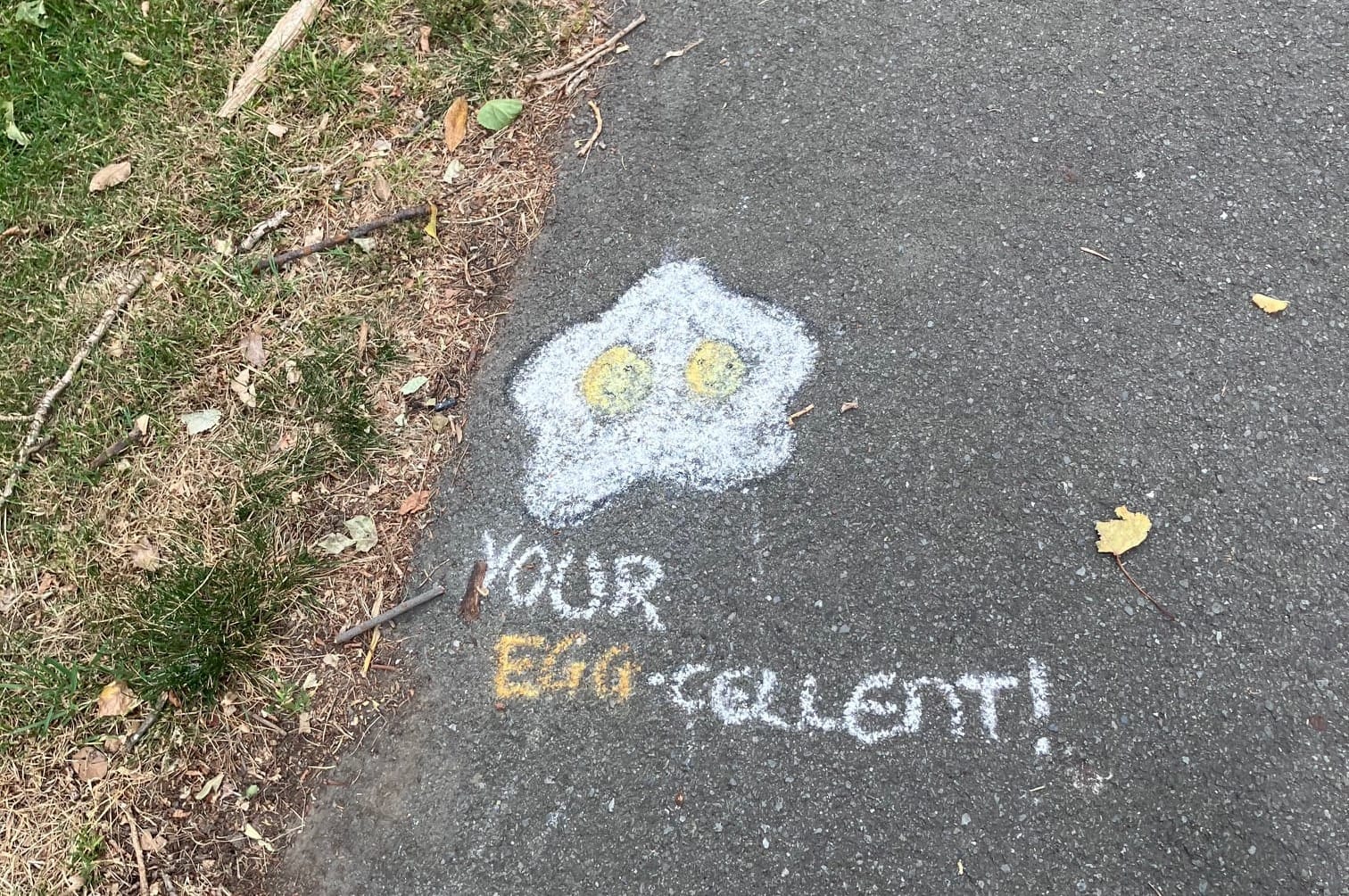 A double yolker egg with smiley faces for yolks and the words "your egg-cellent"